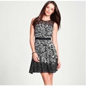 Ann Taylor Midnight Black Floral Lace Dress Size 2